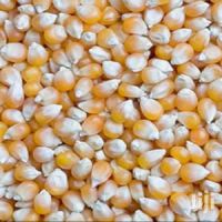 maize