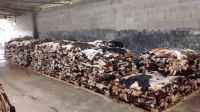 Cow Skin Salted