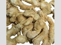 Dried Ginger