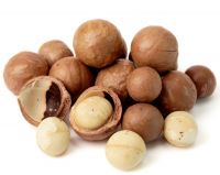 Macadamia Nuts From Malaysia