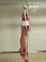 Fresh chilled meat From Ethiopia