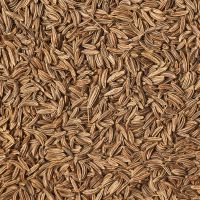 Cumin Seeds