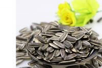 Sunflower Seeds