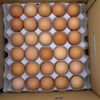 Fresh White And Brown Eggs