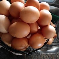 Fresh White And Brown Eggs