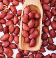 Hot Sale High Protein Red Skin Peanuts