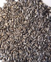 Sunflower Seeds