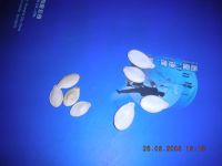White Pumpkin Seeds
