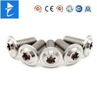 Fastener Custom Metal Stainess Steel Zinc Plated Full Thread Socket Head Shoulder Screw