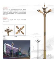 LED outdoor lighting From China