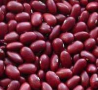 CHEAP RED KIDNEY BEANS AND  BLACK KIDNEY BEAN