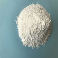 Polyvinylidene Fluoride (PVDF) Powder