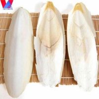 Dried Cuttlefish Bone/ Feed for bird/Pets /Turtle/