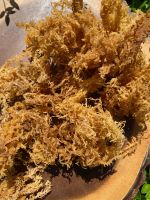 VEGAN IRISH SEA MOSS/ PREMIUM SEAMOSS FROM VIETNAM / Ms. Cherry + 84 975 975 103