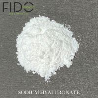 Sodium Hyaluronate