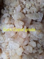 Gum Copal PWS Quality