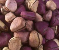 Kolanut