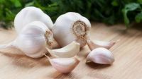 special Nigerian Garlic