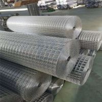 Welded wire mesh for Garden From China
