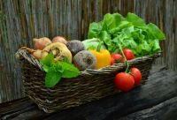 Fresh vegetable of all types 