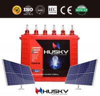 HUSKY TALL TUBULAR BATTERY