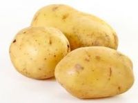 Fresh Potato