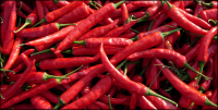 RED CHILLI 