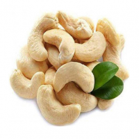 FRESH CASHEW NUT WITH ALL TYPES