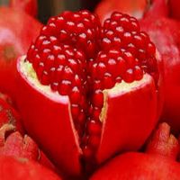 fresh pomegranate 