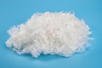 Lyocell Staple Fiber