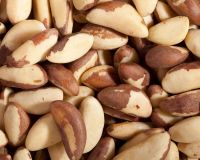 Dried/Raw/Roasted Brazil Nuts 