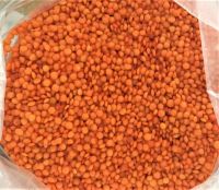 100% Mature Canadian Red Lentils / Green Lentils For Sale