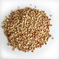 Asian /USA/ EU Quality Hulled Buckwheat / Roasted Buckwheat  From South Africa