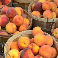 South African Fresh Peaches for export./ Fresh Peaches / Fresh Nectarines Class 1 (Cat 1) Premium Quality for sale 
