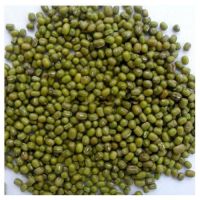 Hot Sale High Quality Fresh Export Green Mung Beans From South Africa