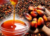 palm oil/Palm Fatty Acid