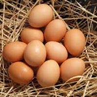 Fresh Farm eggs