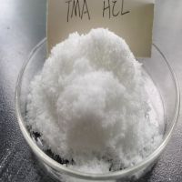Trimethyl Amine Hydrochloride, 593-81-7 98%