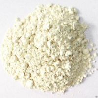 Whey Protein Concentrate Powder
