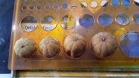 Dried yellow lemon medium size