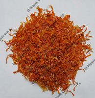Calendula