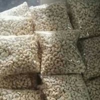 Exported Premium Organic Cashew Kernel Ww180 With Haccp, Iso, Brc And Usda Cerfications