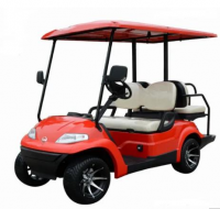 2 Passenger Cute Golf Cart With High Quality Ev Conversion Kit For Car