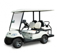 2 Passenger Cute Golf Cart With High Quality Ev Conversion Kit For Car