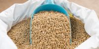 Buckwheat hull and flour From USA