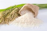 Vietnamese Rice