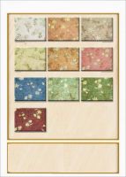 Saray Carpet