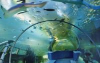 Tunnel Of Aquarium