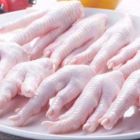 Supplier chicken paws for export - Brazil Origin