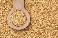 Sesame Seeds